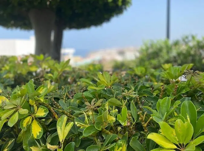 Wifi * Costa Adeje (Tenerife)